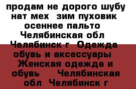 продам не дорого шубу нат.мех, зим.пуховик, осеннее пальто - Челябинская обл., Челябинск г. Одежда, обувь и аксессуары » Женская одежда и обувь   . Челябинская обл.,Челябинск г.